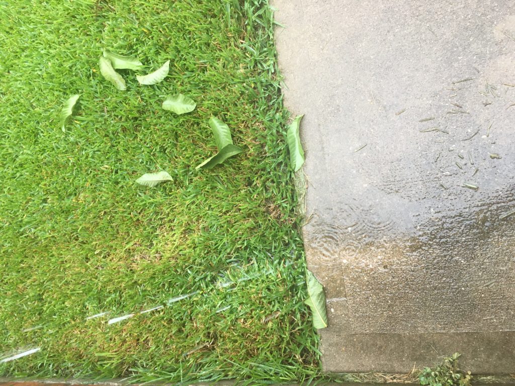 Grass and concrete side by side in the rain