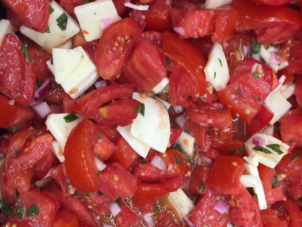 Close up of tomato and white cheese salad