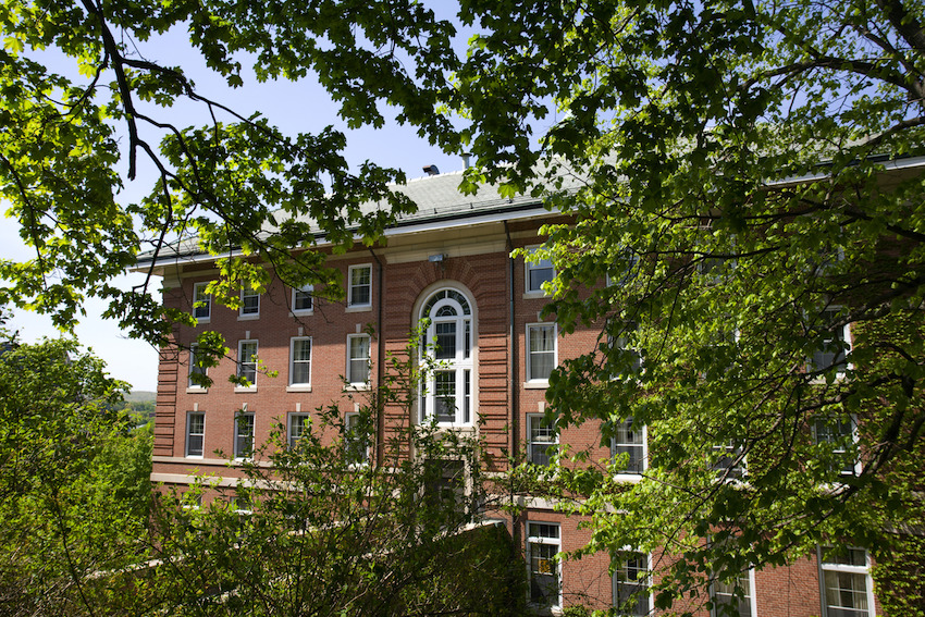 Alumni Hall behind a tree in the summer