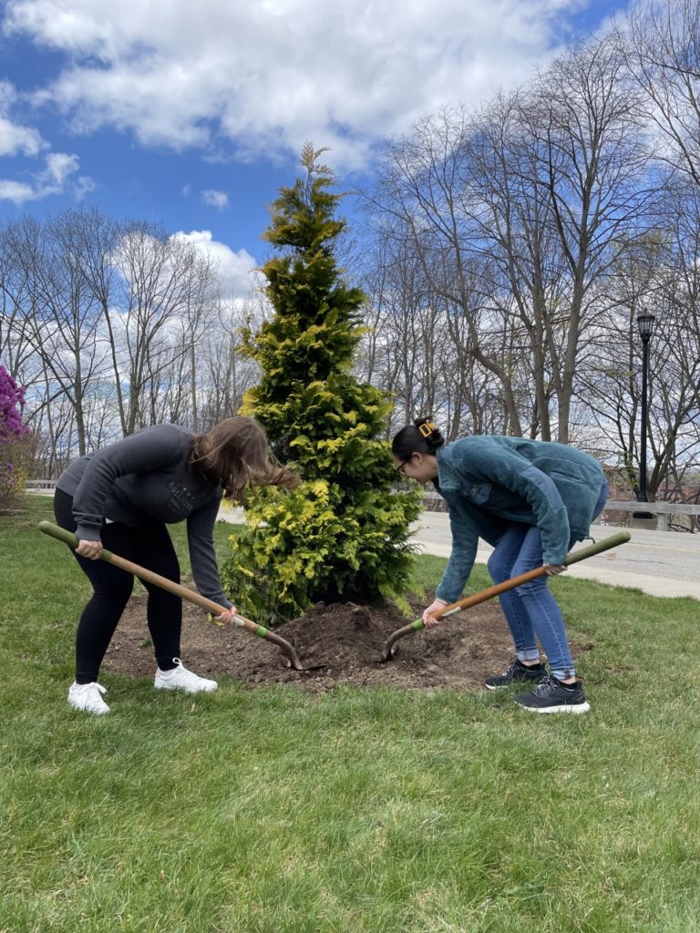 Two students shoveling dirt near tree